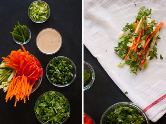 spring roll ingredients spring roll ingredients