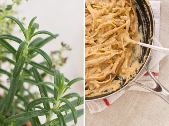 rosemary and pumpkin fettuccini