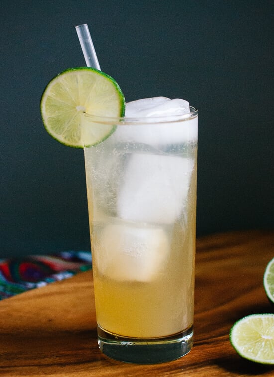 Moscow mule made with ginger kombucha! cookieandkate.com