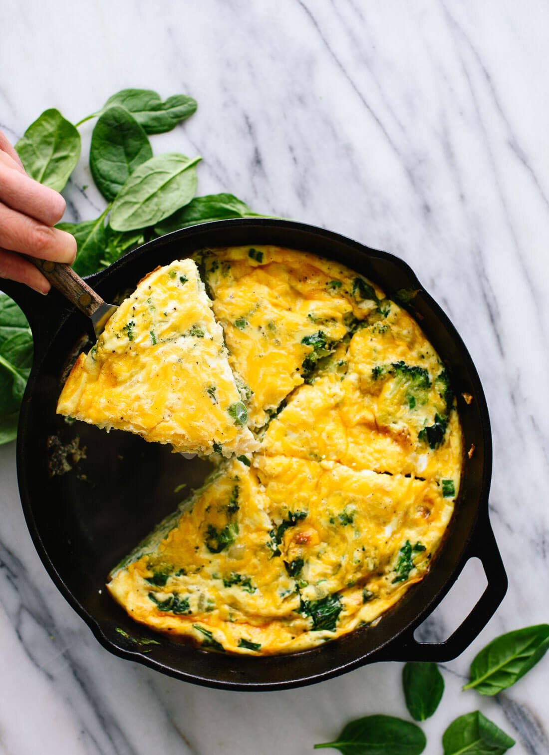 This delicious spinach, broccoli and cheddar frittata is great for brunch!