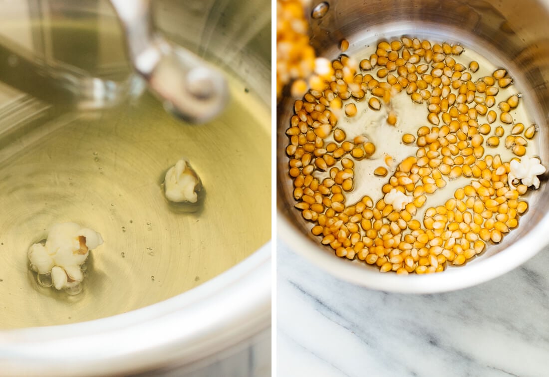 two popped corn kernels